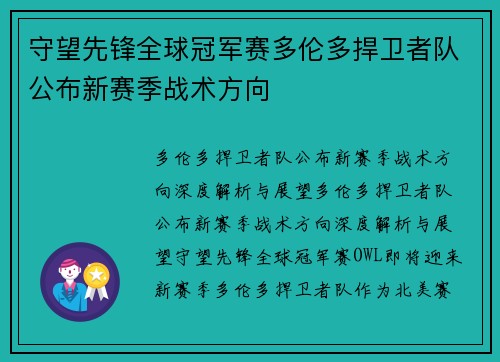 守望先锋全球冠军赛多伦多捍卫者队公布新赛季战术方向