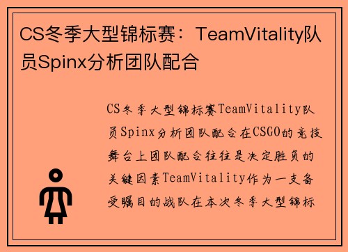 CS冬季大型锦标赛：TeamVitality队员Spinx分析团队配合