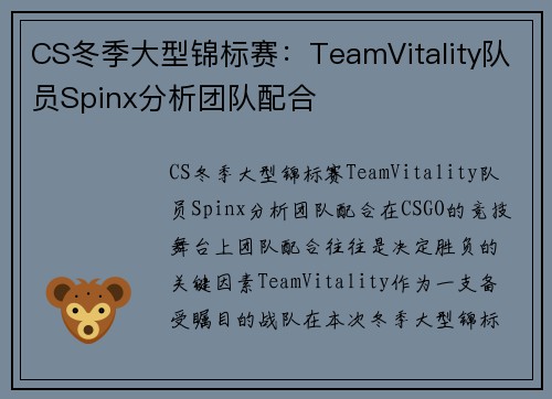CS冬季大型锦标赛：TeamVitality队员Spinx分析团队配合