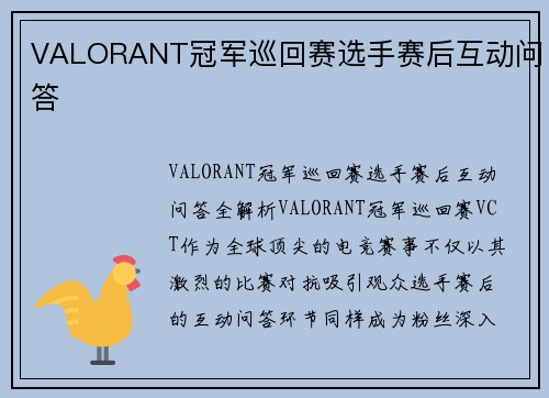VALORANT冠军巡回赛选手赛后互动问答